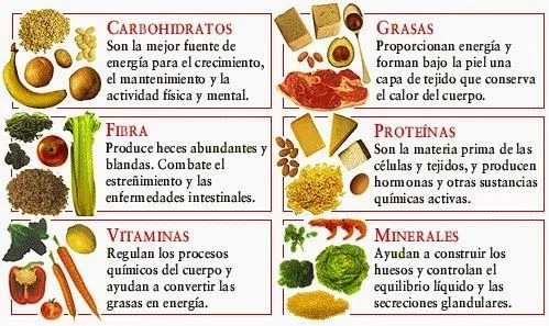 2014 - Quinto de la mañana: Comida, alimento, nutriente ... 2014 - Quinto de la mañana: Comida, alimento, nutriente ...