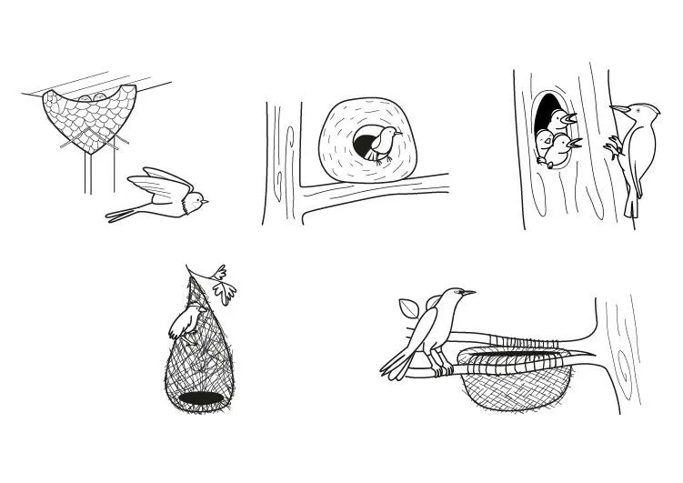 20296-4-nidos-dibujo-para- ...