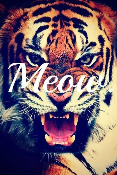 21 Female Baby Names inspired by Animals | Tigres, Hipsters y Gato ... 21 Female Baby Names inspired by Animals | Tigres, Hipsters y Gato ...