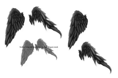 21 Pinceles Alas de Ángeles para Photoshop | Nestavista 21 Pinceles Alas de Ángeles para Photoshop | Nestavista