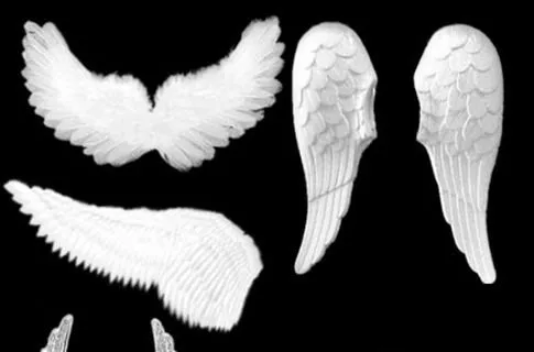 21 Pinceles Alas de Ángeles para Photoshop | Nestavista 21 Pinceles Alas de Ángeles para Photoshop | Nestavista