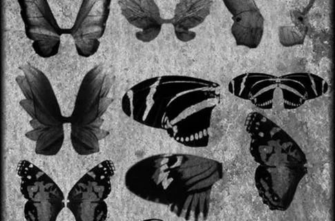 21 Pinceles Alas de Ángeles para Photoshop