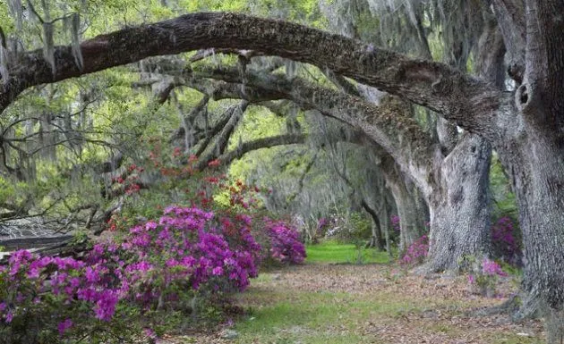 22 fotos de jardines hermosos - Taringa!