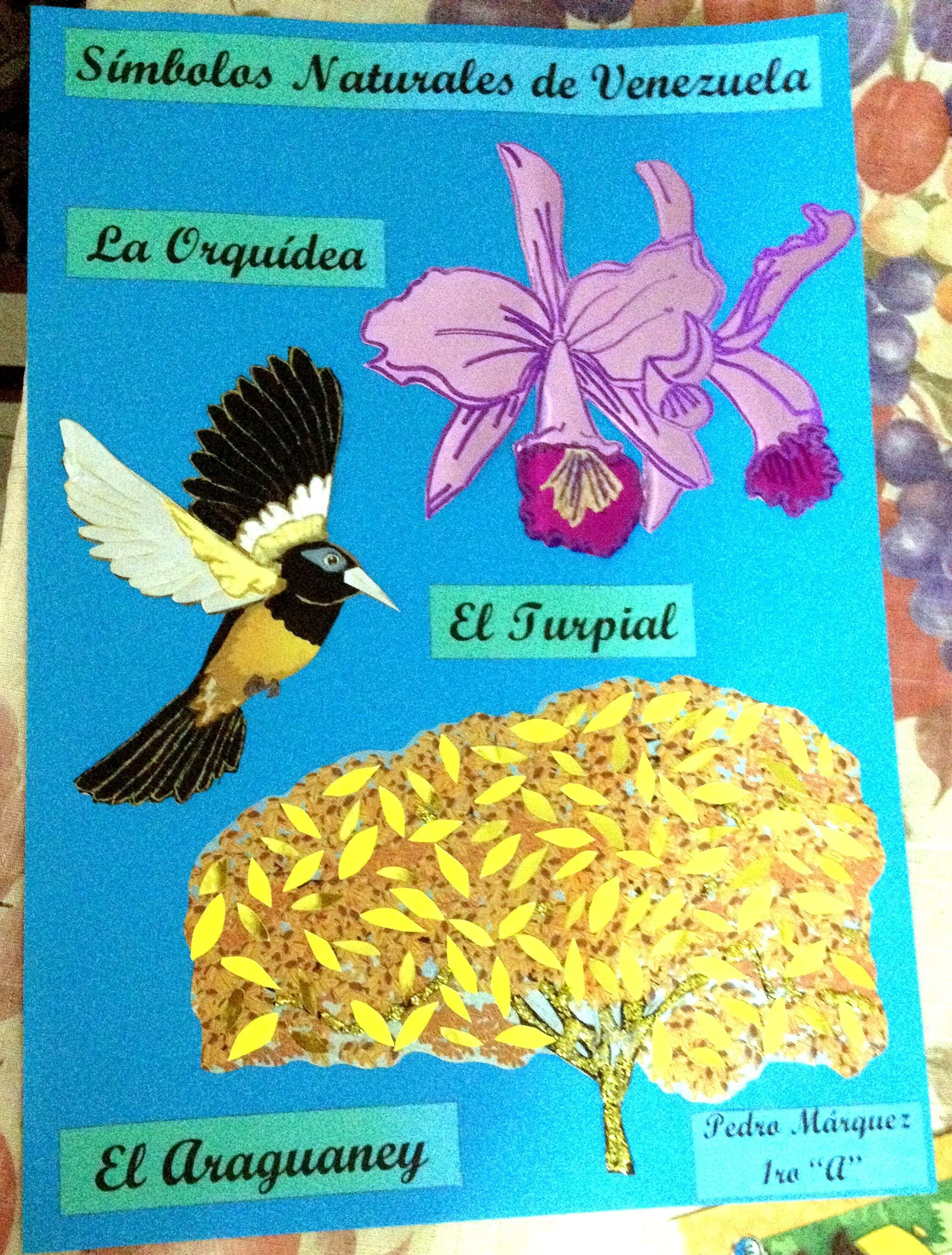 22 ideas de Electricidad en 2023 | pajaros para colorear, orquideas moradas, orquidea para colorear 22 ideas de Electricidad en 2023 | pajaros para colorear, orquideas moradas, orquidea para colorear