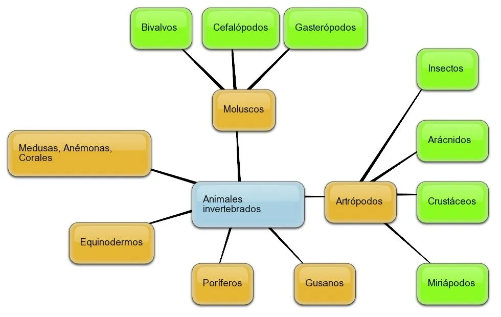 2.2-LOS ANIMALES: Invertebrados | Nuestro blog de 5º y 6º