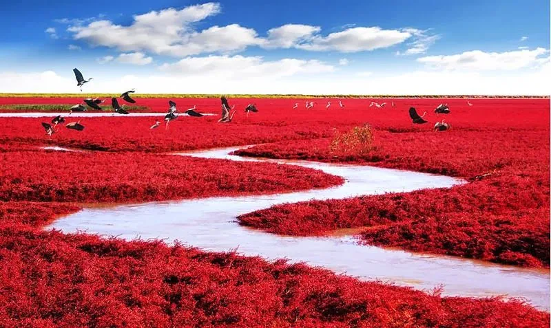 22 Lugares hermosos que no creerás que existen | Noti.in - Lo más ... 22 Lugares hermosos que no creerás que existen | Noti.in - Lo más ...
