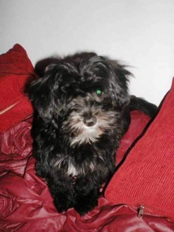 24CON - Compartí las fotos de tu mascota en 24CON 24CON - Compartí las fotos de tu mascota en 24CON