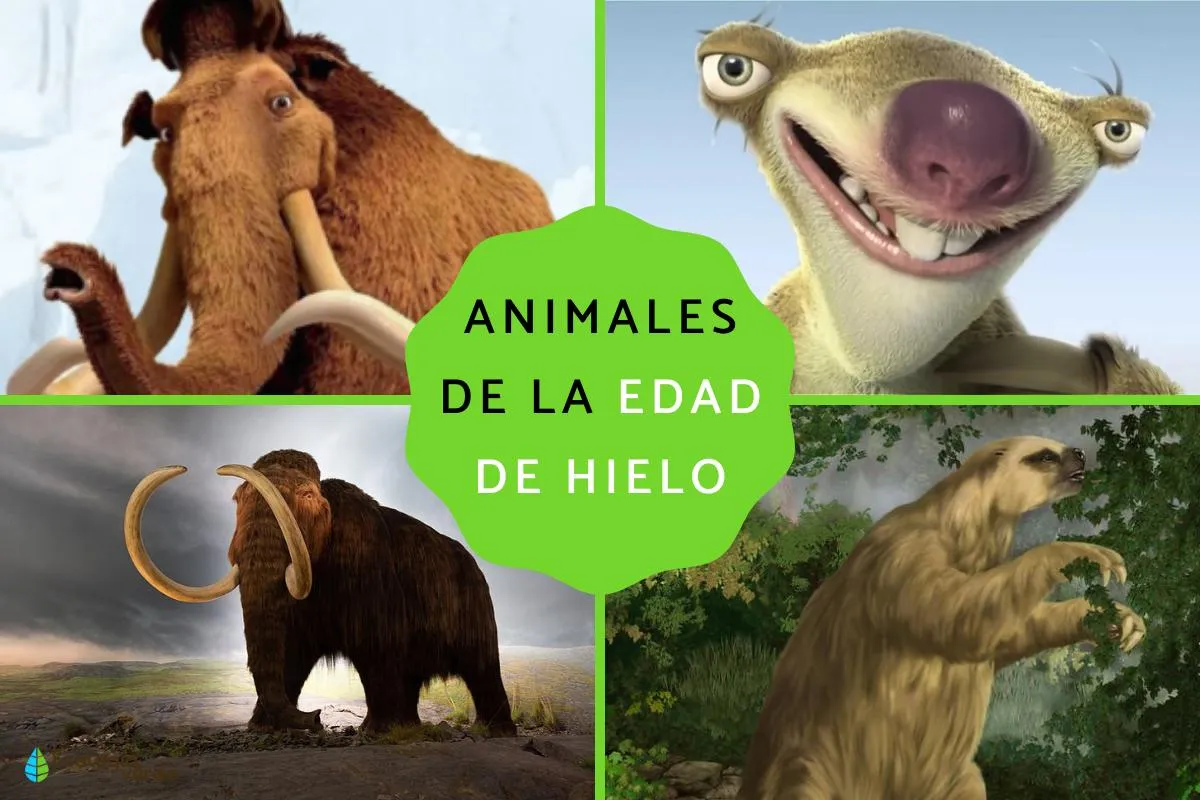 25 animales de la Era de Hielo o Ice Age - Ejemplos y FOTOS 25 animales de la Era de Hielo o Ice Age - Ejemplos y FOTOS
