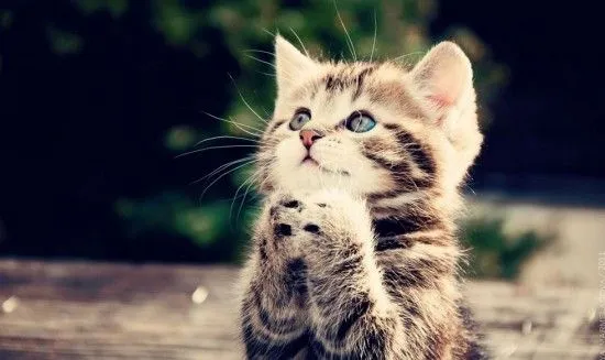 25 fonds d'écran HD en très haute définition - Blog du Modérateur