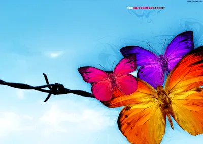 Fondo de pantalla de mariposas hermosas - Imagui