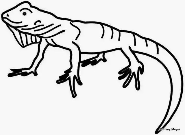 25 Laminas con la vocal i para colorear e imprimir - Para niños