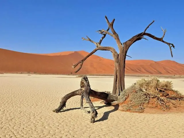 25 de los paisajes más surrealistas en la Tierra – Marcianos 25 de los paisajes más surrealistas en la Tierra – Marcianos
