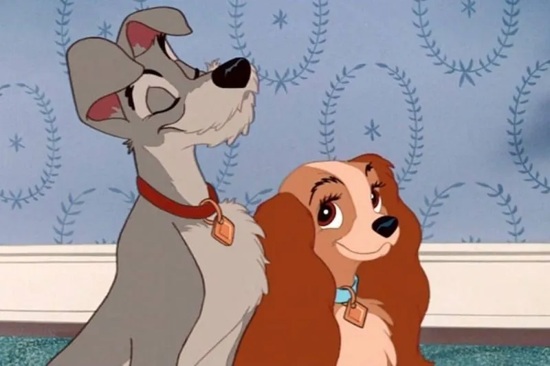 250+ nombres de perros de Disney que te encantarán - DogsPlanet.com 250+ nombres de perros de Disney que te encantarán - DogsPlanet.com