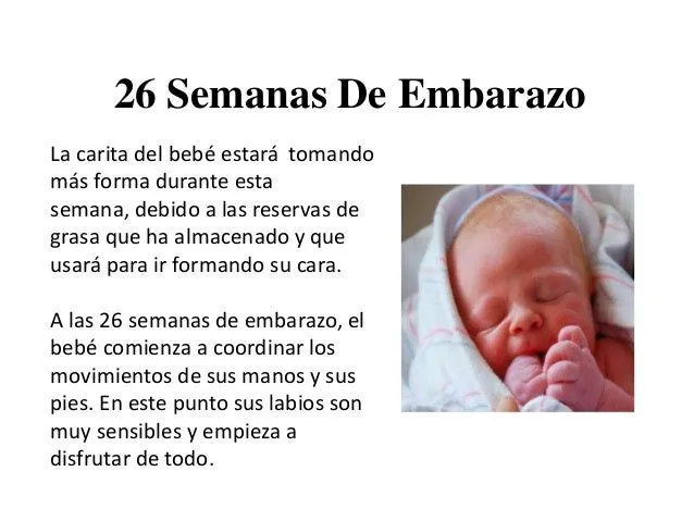 26 Semanas De Embarazo: Cómo Se Encuentra El Bebé Tras 26 Semanas De …