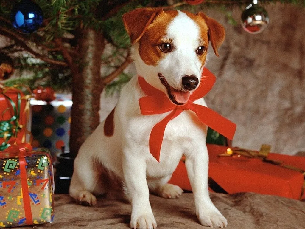 28 fondos navideños para pc, laptop y tablets - Wallpapers | Banco ... 28 fondos navideños para pc, laptop y tablets - Wallpapers | Banco ...