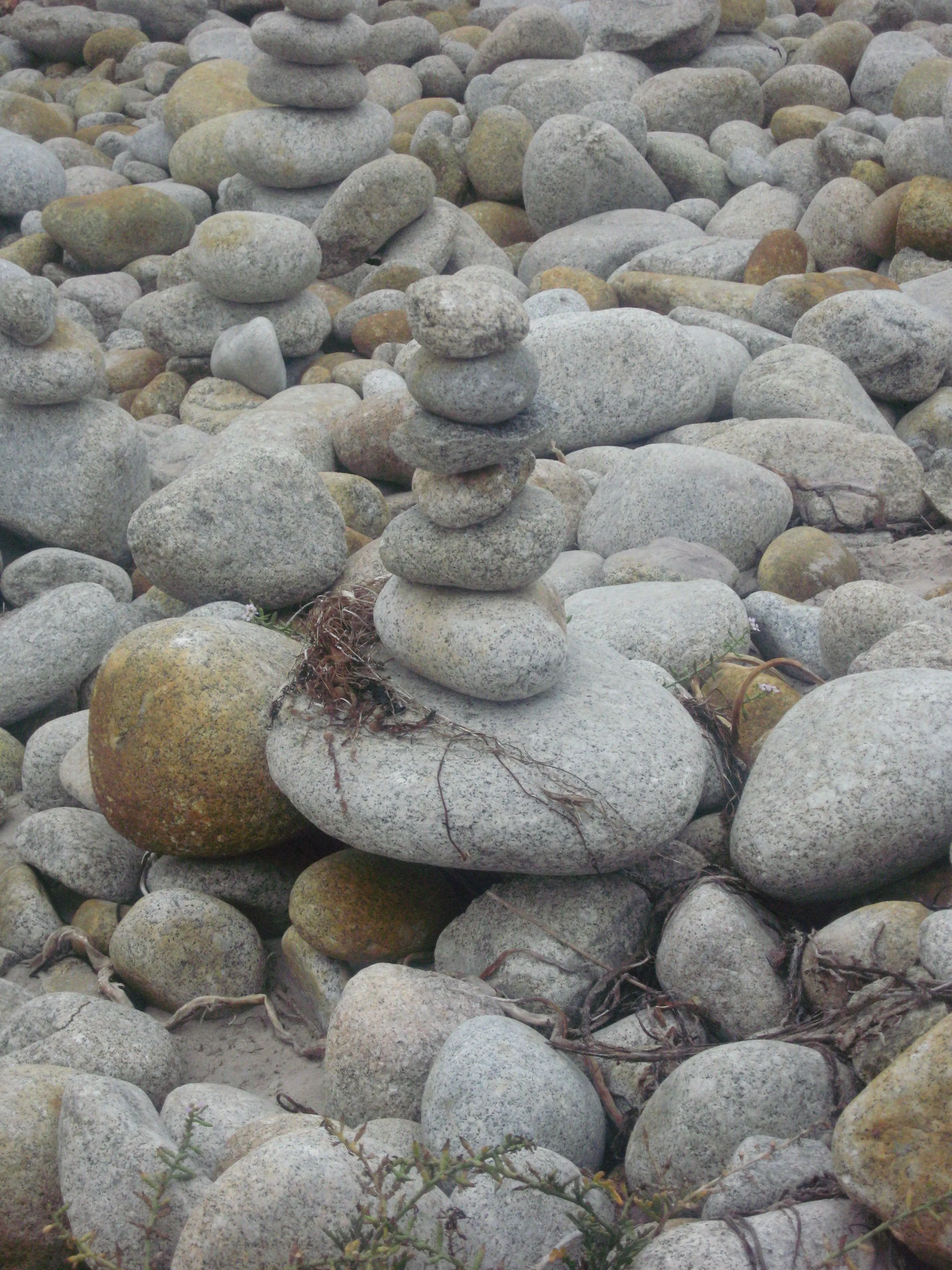 2897508747_62bdeef871_o.jpg 2897508747_62bdeef871_o.jpg