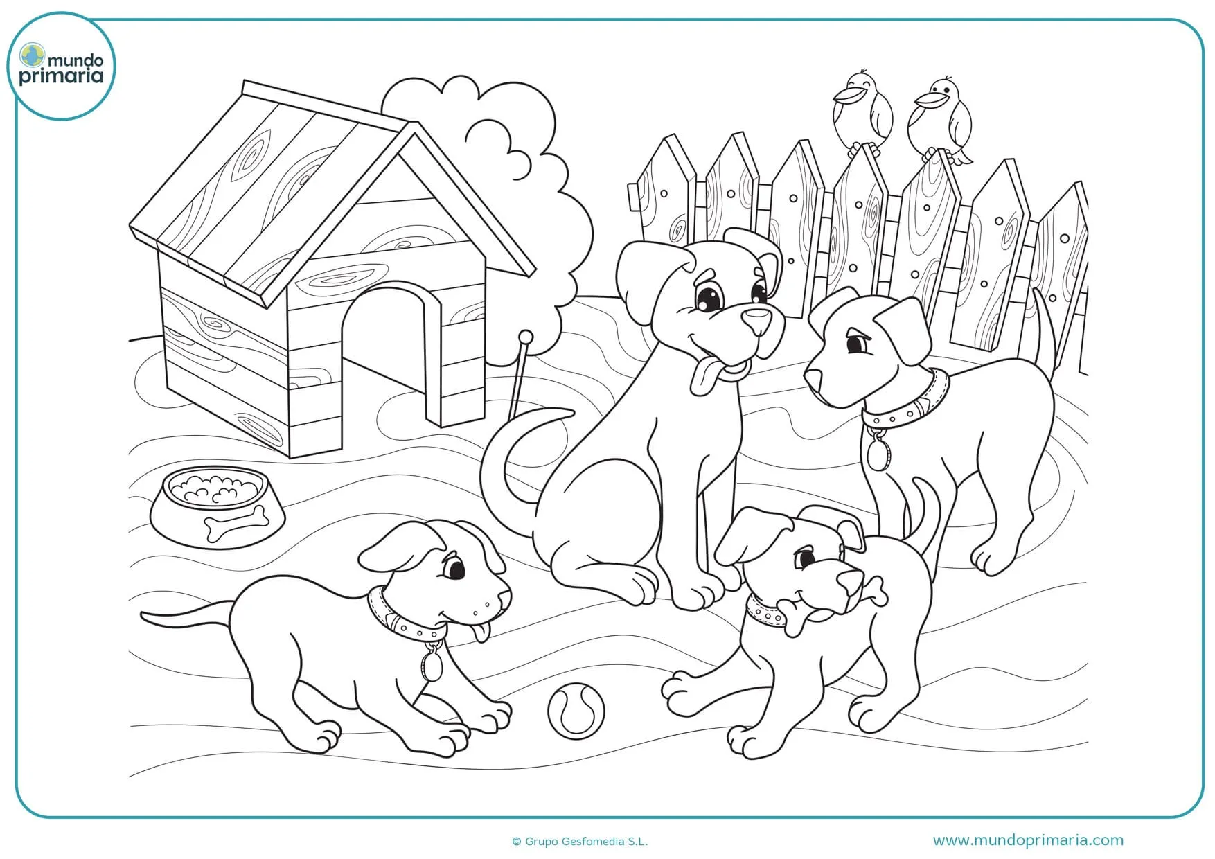 29 de abril Día del Animal para colorear, fotos y dibujos para hacerlo | Tu Nota 29 de abril Día del Animal para colorear, fotos y dibujos para hacerlo | Tu Nota