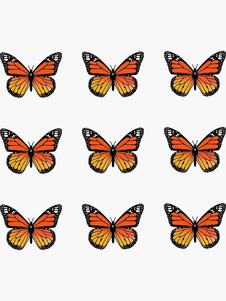 29 ideas de Mariposas para imprimir en 2023 | mariposas para imprimir, mariposas, mariposa imprimible 29 ideas de Mariposas para imprimir en 2023 | mariposas para imprimir, mariposas, mariposa imprimible