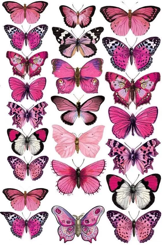29 ideas de Mariposas para imprimir en 2023 | mariposas para imprimir, mariposas, mariposa imprimible 29 ideas de Mariposas para imprimir en 2023 | mariposas para imprimir, mariposas, mariposa imprimible