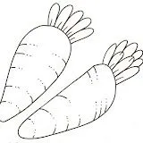 2zanahorias.jpg 2zanahorias.jpg