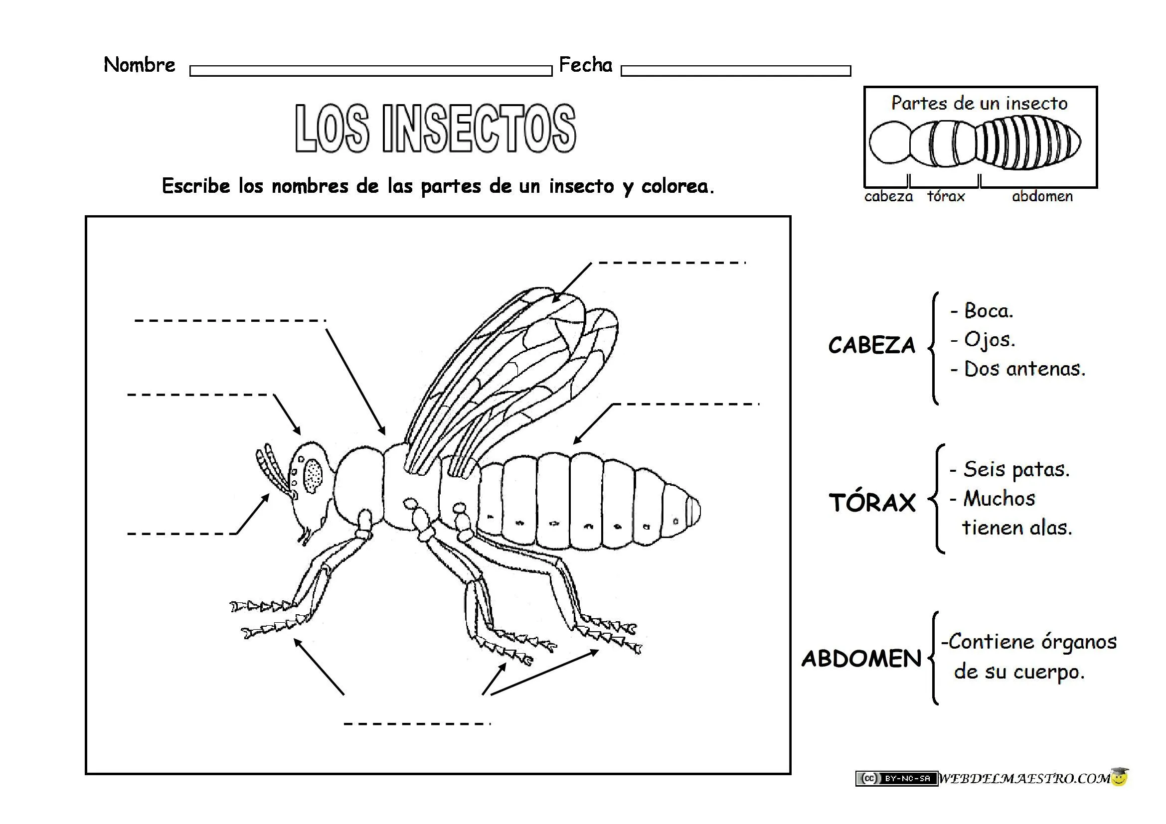 3º de primaria | englishatsantaclara