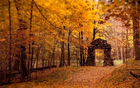 20_colorful_autumn_wallpapers_ ...