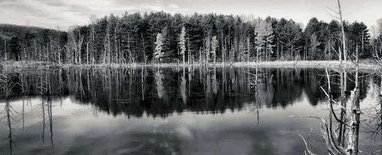 30 Increíbles Fondos de Pantalla en Blanco y Negro para Windows y Mac 30 Increíbles Fondos de Pantalla en Blanco y Negro para Windows y Mac