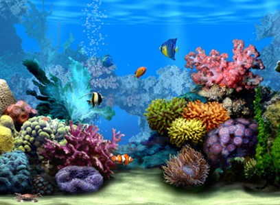 30 Protectores de pantalla en 3D de acuarios peces y del mar ...