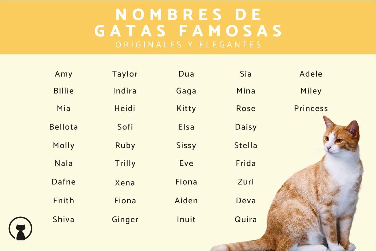300 Nombres de gatas famosas - ¡Originales y elegantes! 300 Nombres de gatas famosas - ¡Originales y elegantes!