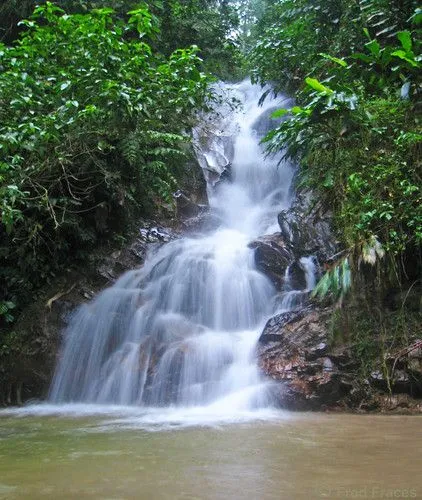 Imagenes d cascadas - Imagui
