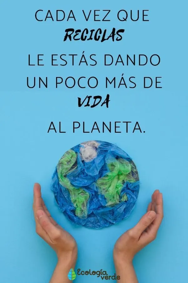 32 ideas de Carteles Ambientales en 2023 | dia del medio ambiente, dia  mundial del medio ambiente, ambientales