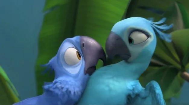 Conoce a Blu y Perla, los protagonistas de la película RIO Conoce a Blu y Perla, los protagonistas de la película RIO