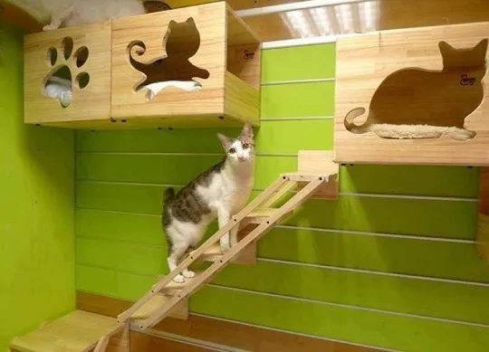 33 Ideas de guaridas y camas para consentir a tus mascotas 33 Ideas de guaridas y camas para consentir a tus mascotas