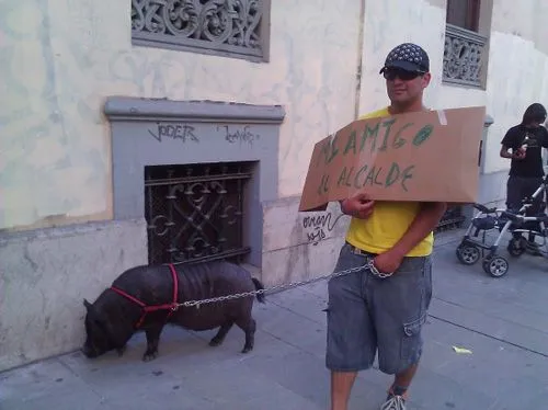 Las mejores pancartas del 15M