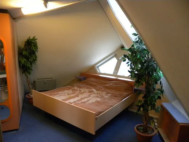 Hogares poco habituales