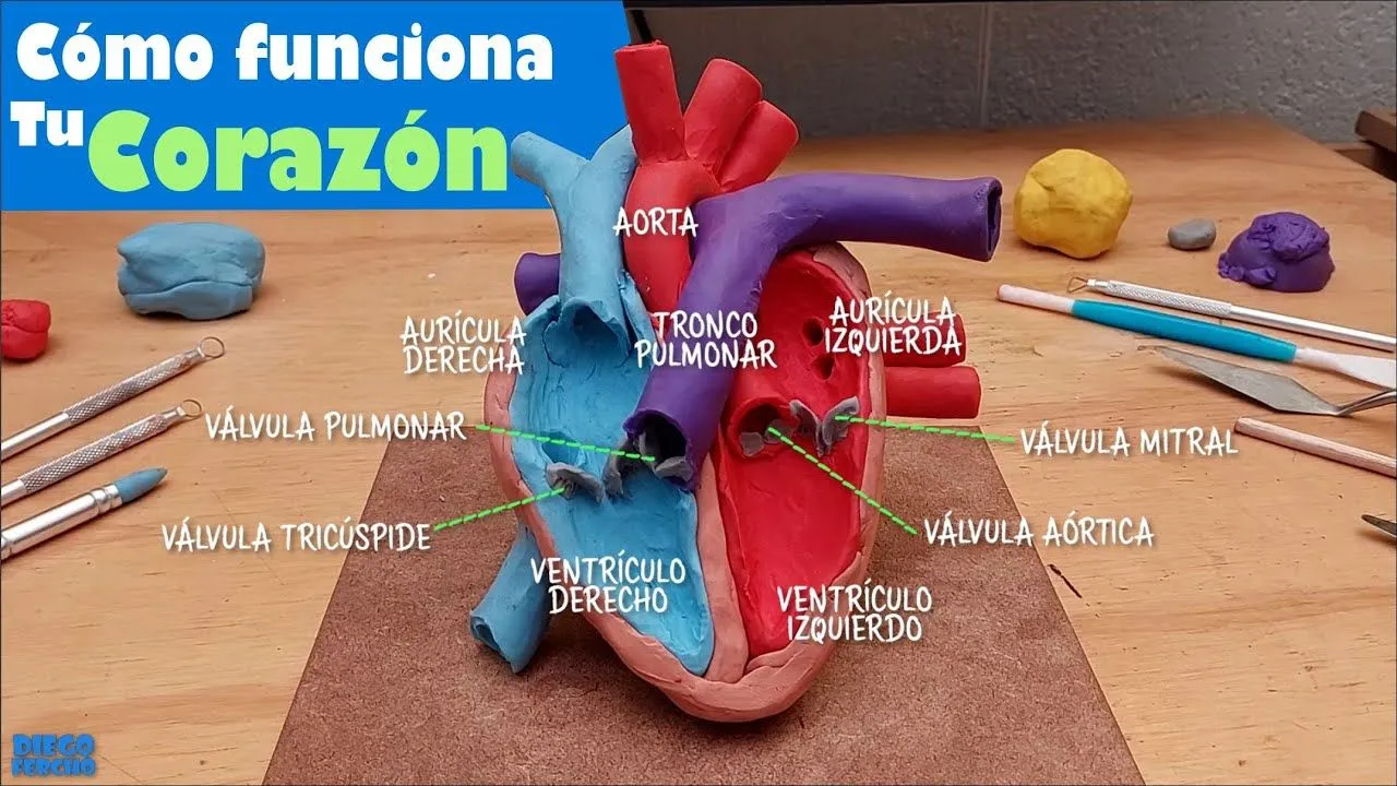 Como hacer un corazon en plastilina