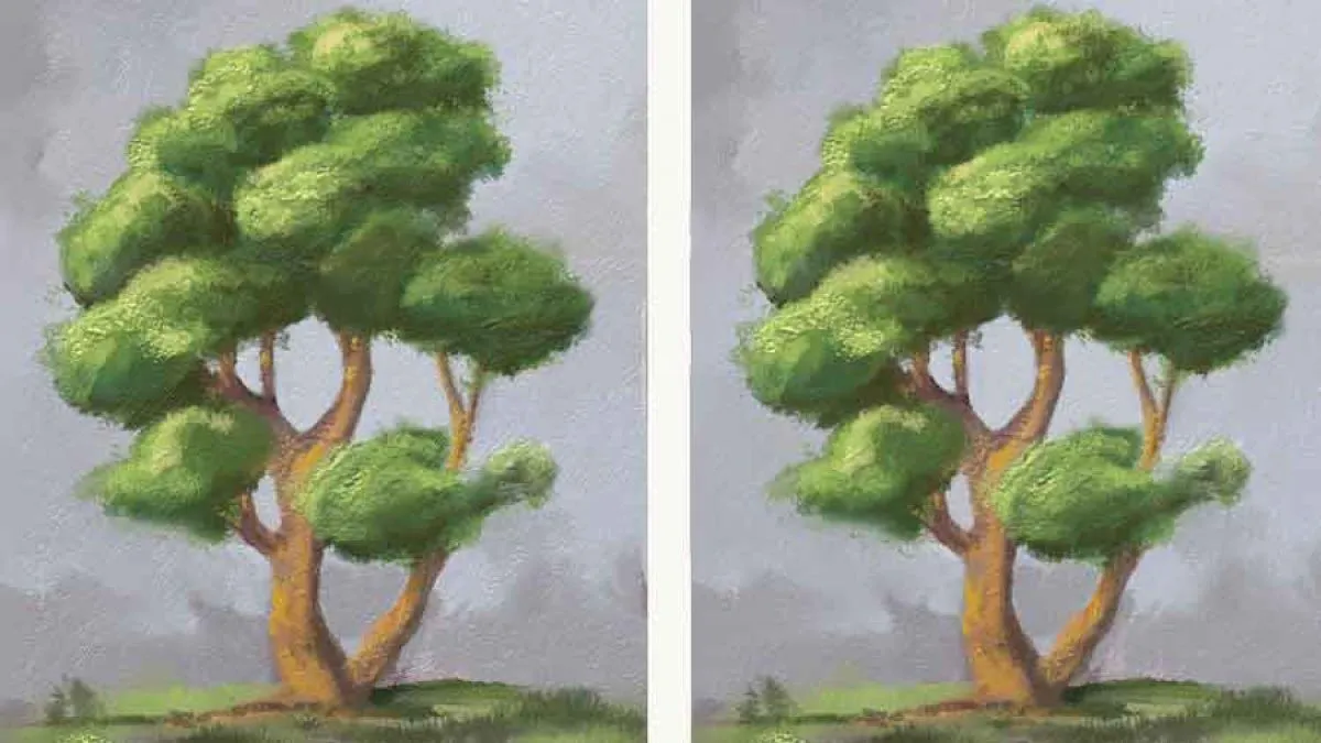 Dibujo un arbol y sus partes