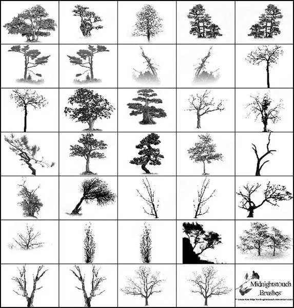 35 photoshop 7 árbol cepillo Photoshop Brushes para su descarga ... 35 photoshop 7 árbol cepillo Photoshop Brushes para su descarga ...