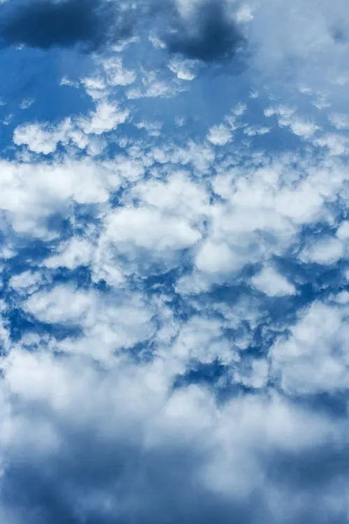 372.757+ Fotos y Imágenes de Fondo de cielo Gratis · Banco de Fotos Gratis 372.757+ Fotos y Imágenes de Fondo de cielo Gratis · Banco de Fotos Gratis