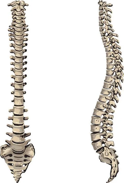 3791.jpg