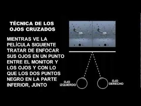 3D sin gafas 3D (Tecnica de los ojos cruzados) - YouTube 3D sin gafas 3D (Tecnica de los ojos cruzados) - YouTube