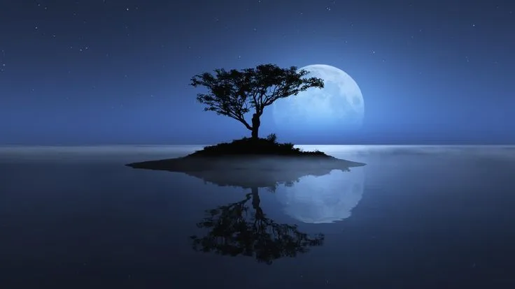 3D Nature Wallpaper | Full Moon Night Nature HD Wallpapers 1080p ...