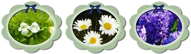Nombre para niñas. Nombres de flores. - Nombres de Niñas y Niños ... Nombre para niñas. Nombres de flores. - Nombres de Niñas y Niños ...