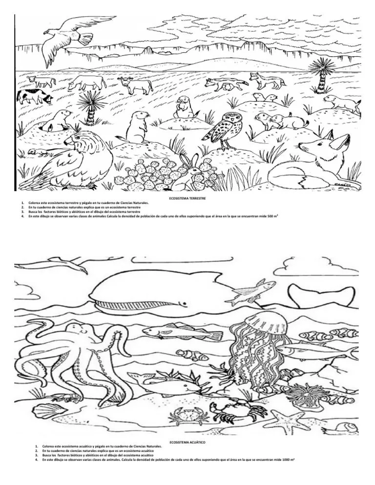 4° Ecosistemas Terrestres y Acuáticos | PDF 4° Ecosistemas Terrestres y Acuáticos | PDF