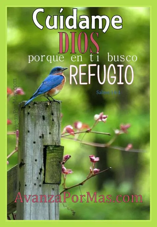 4) IMAGENES CON VERSICULOS BIBLICOS