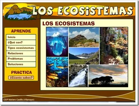 4-LOS ECOSISTEMAS | Nuestro blog de 5º y 6º