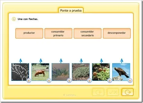 4-LOS ECOSISTEMAS | Nuestro blog de 5º y 6º 4-LOS ECOSISTEMAS | Nuestro blog de 5º y 6º