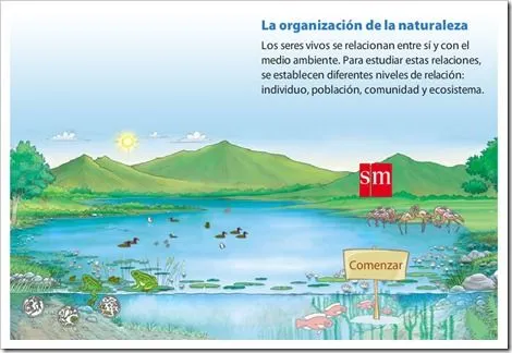 4-LOS ECOSISTEMAS | Nuestro blog de 5º y 6º