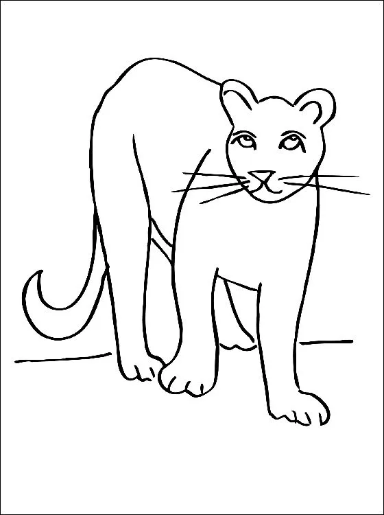 40 dibujos de Pumas para colorear | Oh Kids | Page 3