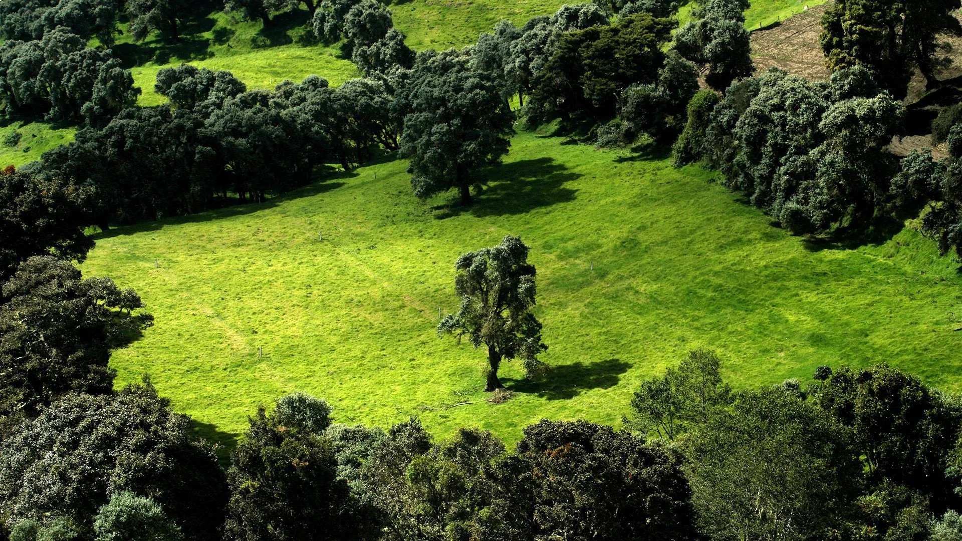 40 fondos de escritorio de paisajes Full HD 1080. | Wallpapers HQ ... 40 fondos de escritorio de paisajes Full HD 1080. | Wallpapers HQ ...